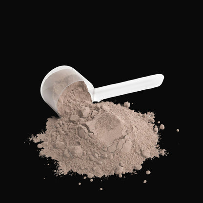 Performance Whey Protein Blend (Chocolate)
