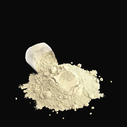 Performance Whey Protein Blend (Vanilla)